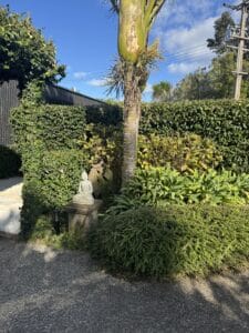 Sunshine at Matakana Reiki Master training venue